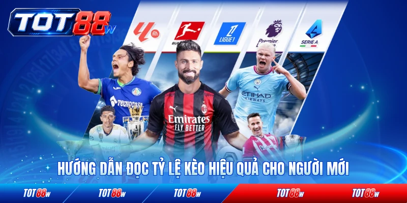 Hướng dẫn đọc tỷ lệ kèo hiệu quả cho người mới